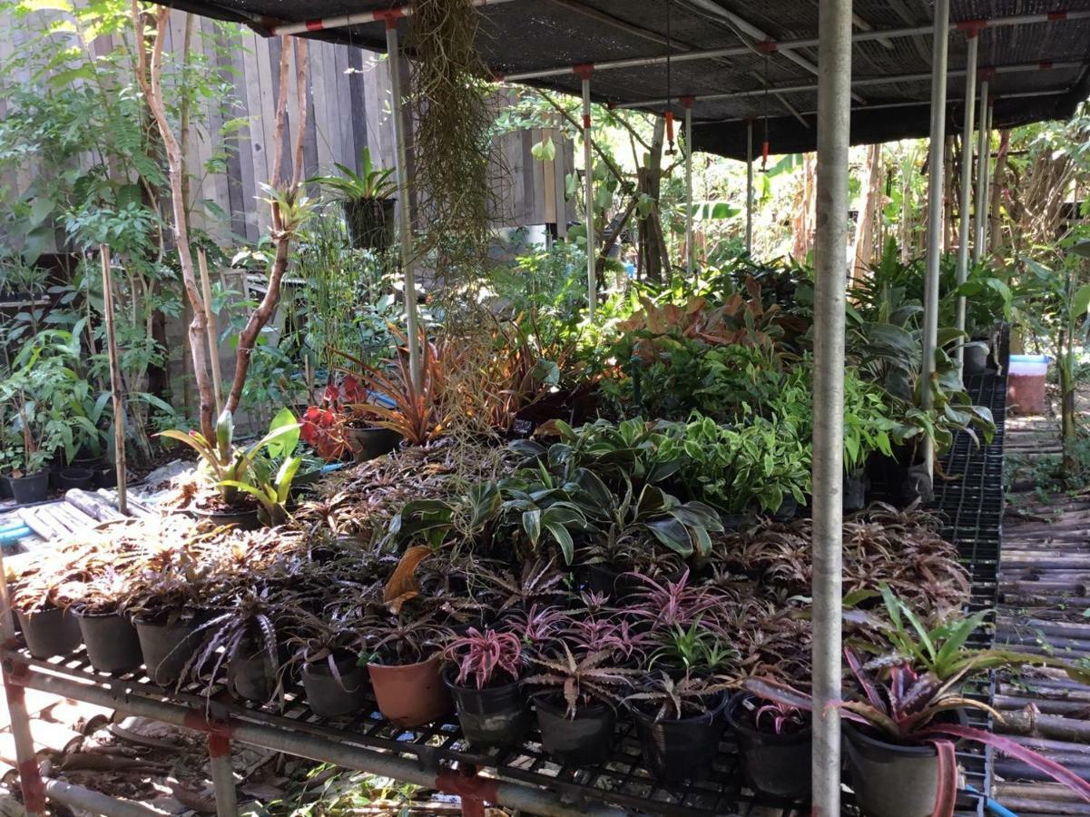 Rustic​ Charm​ Suphan​ Ban Tha Pong Eksteriør billede